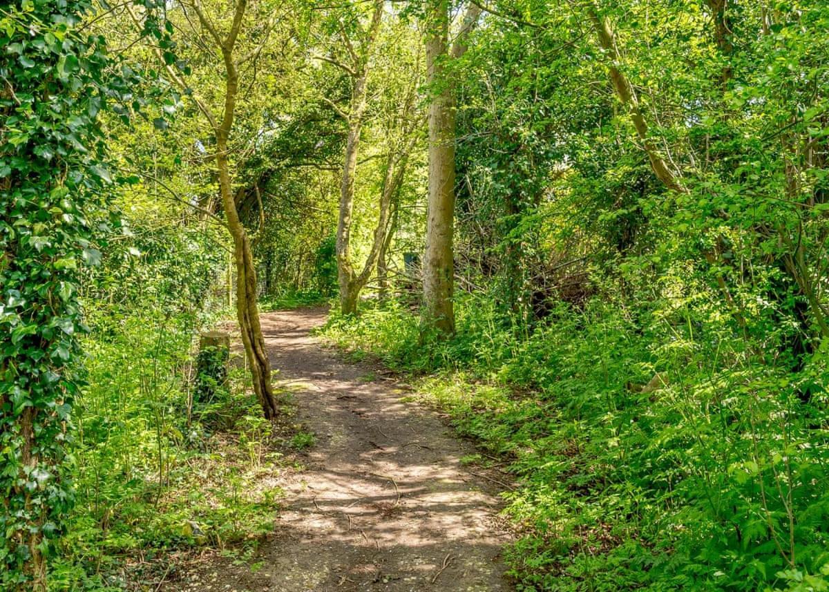 Canterbury Reach Lodge Retreat Petham ภายนอก รูปภาพ