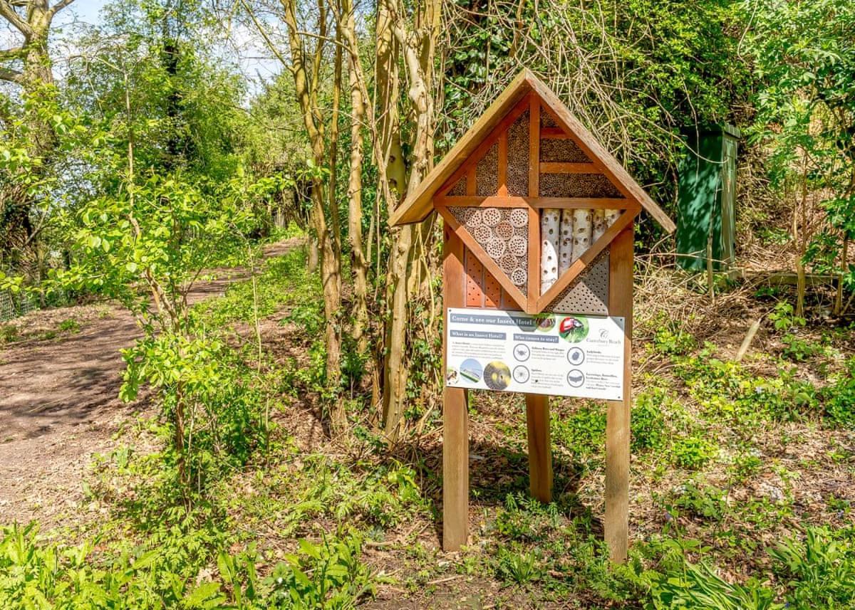 Canterbury Reach Lodge Retreat Petham ภายนอก รูปภาพ